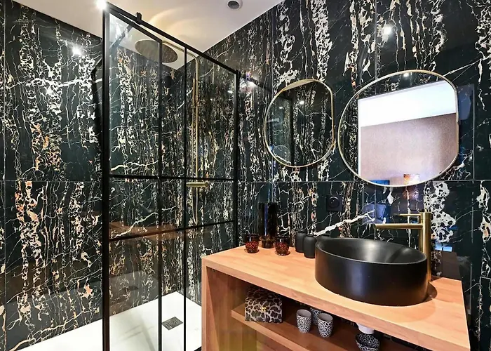 Luxueuse Renovee Avec Parking Et Climatisation A - Fr-1-510-226 *